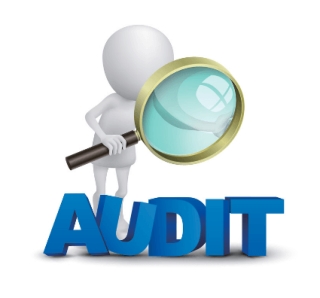 Audit Assignment Help