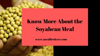 Find the Best Cattle Feed from Meal Brokers