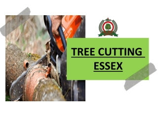 Tree Cutting Essex | Valiant Arborist