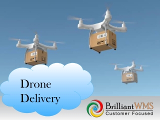 Drone Delivery