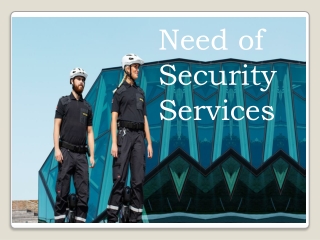 Need of Security Services