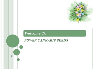 Cannabis Seeds Online in UK | Marijuana Seeds Online in UK