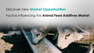 Global Animal Feed Additives Market 2019-2023
