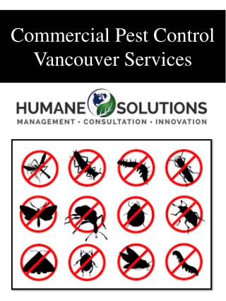 Commercial Pest Control Vancouver Services