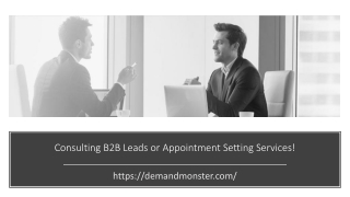 Guaranteed B2B Leads or Appointments for Consulting Firms!