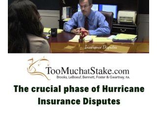 Resolving the issue of Hurricane insurance disputes with our best lawyers