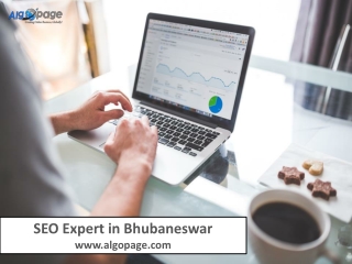 SEO Expert in Bhubaneswar - Algopage