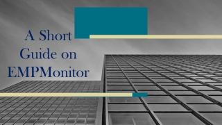 Short Guide on EMPMonitor