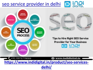 Find the best seo service provider in delhi