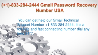 ( 1)-833-284-2444 Gmail Password Recovery Number USA