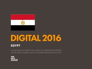 Digital 2016 Egypt (January 2016)