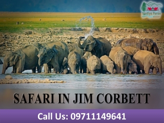 Safari In Jim Corbett | nadiyaparao