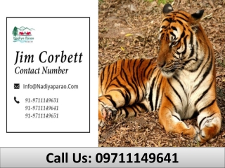 Jim Corbett Contact Number | nadiyaparao