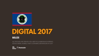 Digital 2017 Belize (January 2017)