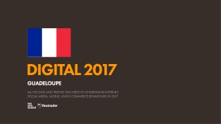 Digital 2017 Guadeloupe (January 2017)