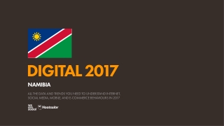 Digital 2017 Namibia (January 2017)