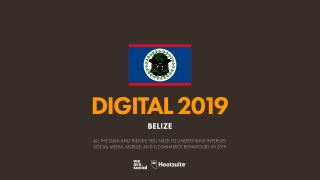 Digital 2019 Belize (January 2019) v01