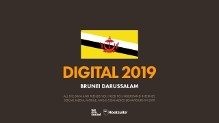 Digital 2019 Brunei Darussalam (January 2019) v01