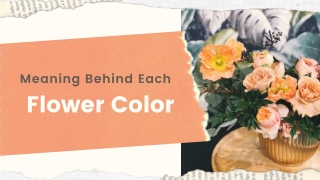 meaning behind each color of flower
