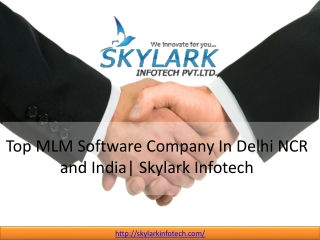 Top MLM Software Company In Delhi NCR and India| Skylark Infotech