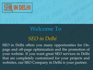 Top SEO Services Agency in Delhi