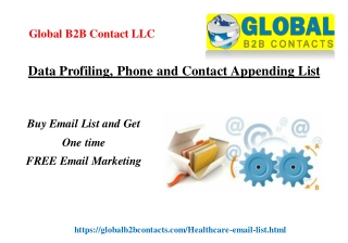 Data Profiling, Phone and Contact Appending List