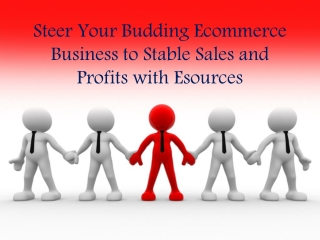 Steer Your Budding Ecommerce Business to Stable Sales and Profits with Esources