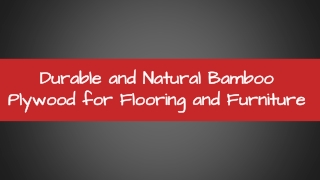 Durable and Natural Bamboo Plywood for Flooring and Furniture