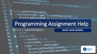 Programming assignment help