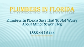 Plumbers In Florida Says That To Not Worry About Minor Sewer Clog