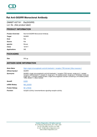 sigirr antibody