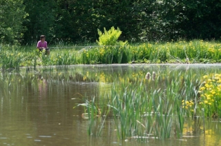 Visvakantie in Nederland