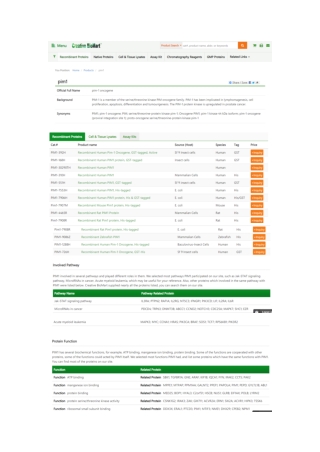 Official Full Name pim-1 oncogene