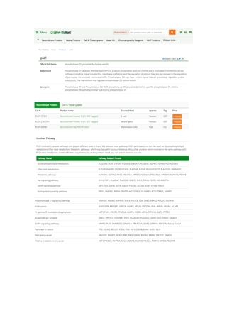 phospholipase D1, phosphatidylcholine-specific