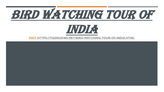 Bird Watching Tour of India