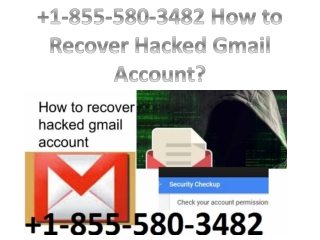 Gmail Password Recovery Number