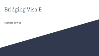 Important Facts About Bridging Visa E