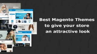 Magento Themes Development Gives an Impressive Look to your eCommerce Store