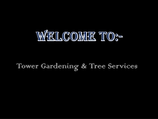 Best tree services in Dublin