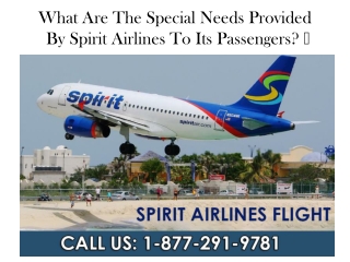 What Are The Special Needs Provided By Spirit Airlines To Its Passengers?