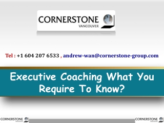 Executive Coaching What You Require To Know?