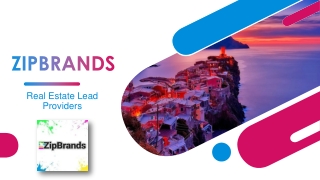 ZipBrands- Real Estate Lead Providers