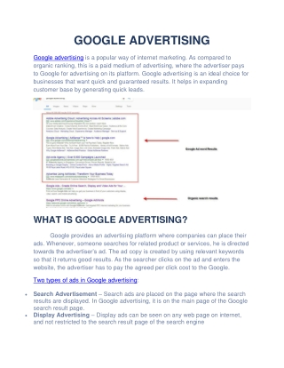 Google Advertising-Solastis