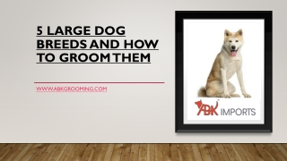 5 LARGE DOG BREEDS AND HOW TO GROOM THEM