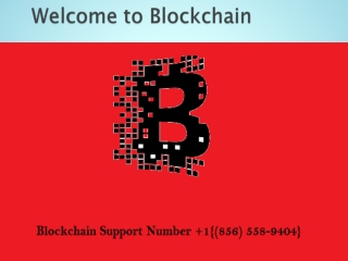 Blockchain Support Number 1856 558-9404