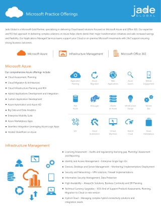 Microsoft Practice Offerings