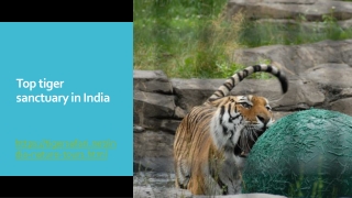 Top tiger sanctuary in India