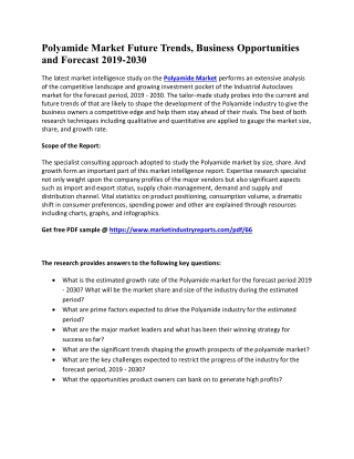 Polyamide Market Future Trends, Business Opportunities and Forecast 2019-2030