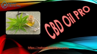 Buy 1000mg CBD Oil Get 10% Discount