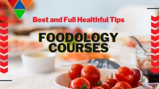 Find out The Best And Healthful Courses At Foodology Inc